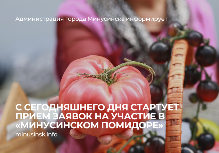 Прием заявок на «Минусинский помидор» стартовал. Прием заявок на «Минусинский помидор» стартовал.