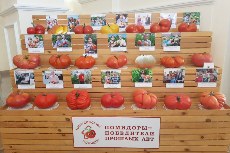 Выставка «Минусинский чемпион» в Мартьяновском музее. Выставка «Минусинский чемпион» в Мартьяновском музее.